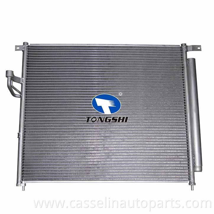 Air Conditioner Auto Condenser for FORD RANGER (TKE) 2.2 TDCI 11 2045000254 Car Ac Condenser